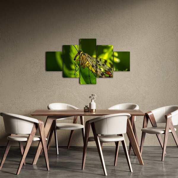 Obraz hmyzu (125x70 cm)