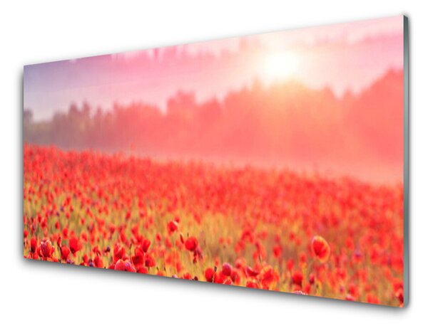 Kuchyňský skleněný panel Louka Květiny Příroda 100x50 cm