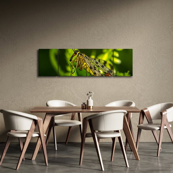 Obraz hmyzu (170x50 cm)