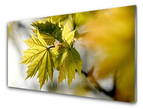 Obraz na skle Listy Rostlina 120x60 cm