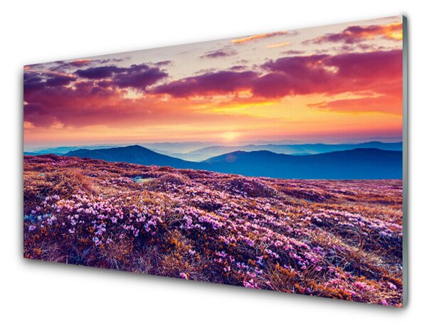 Kuchyňský skleněný panel Louka Hory Květiny Příroda 100x50 cm