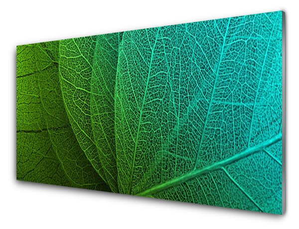Kuchyňský skleněný panel Abstrakce Listy Rostlina 125x50 cm
