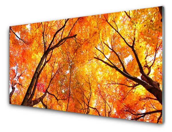 Obraz na skle Stromy Příroda 100x50 cm
