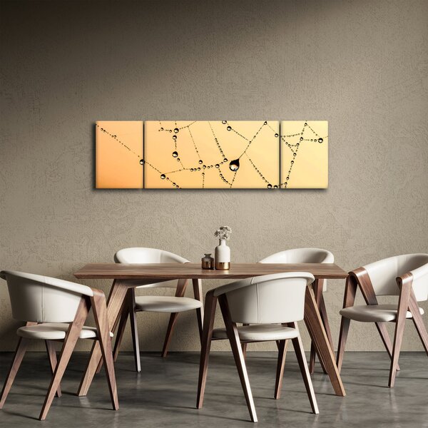 Obraz orosené pavučiny (170x50 cm)
