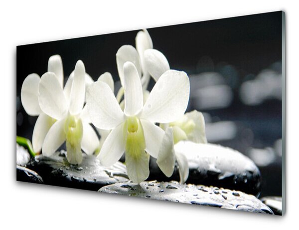 Obraz na skle Kameny Květiny Orchidej 100x50 cm