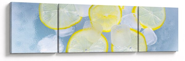 Obraz citrónů v ledu (170x50 cm)