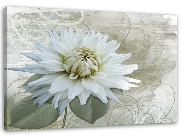 Obraz Bílá vintage květina Velikost: 100 x 70 cm, Provedení: Obraz na plátně