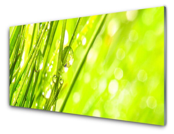 Obraz na skle Příroda Kapky Tráva 140x70 cm