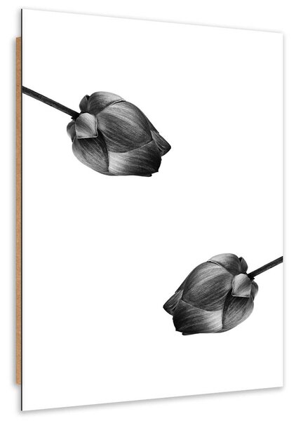 Obraz Dvě šedé květiny Velikost: 60 x 90 cm, Provedení: Panelový obraz
