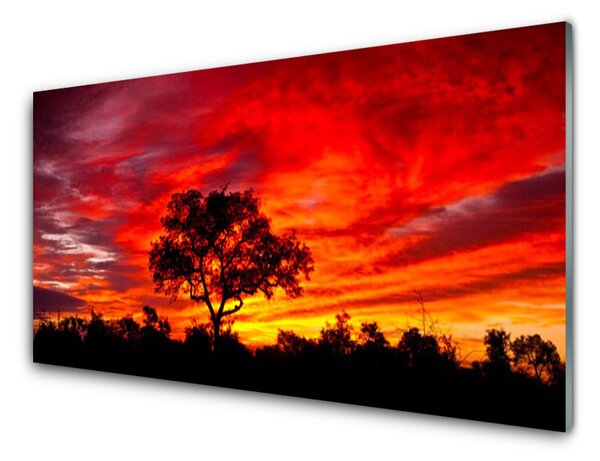 Obraz na skle Les Krajina Příroda 125x50 cm