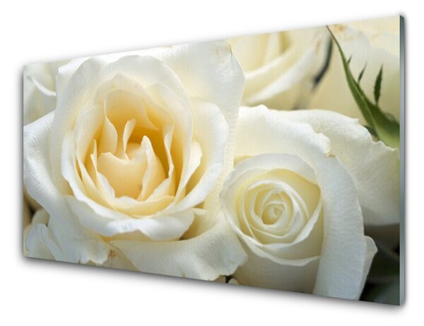 Akrylový obraz Růže Květiny 100x50 cm