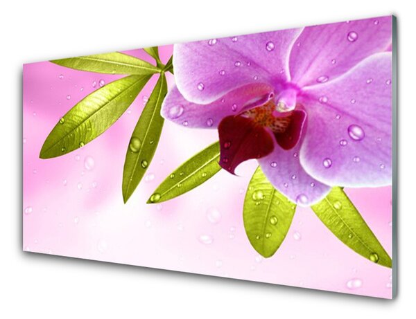 Kuchyňský skleněný panel Květ Listy Rostlina 125x50 cm