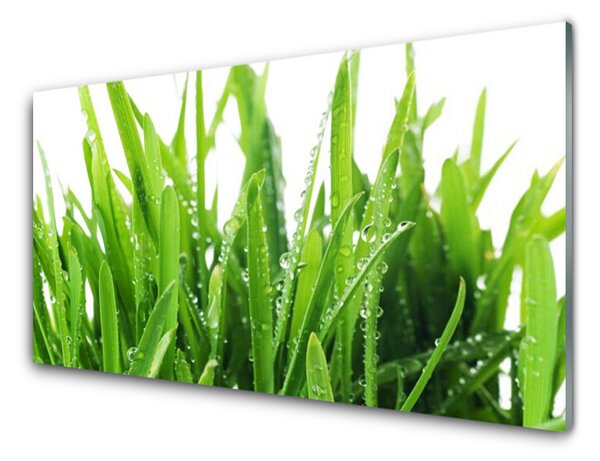 Kuchyňský skleněný panel Tráva Rostlina 125x50 cm