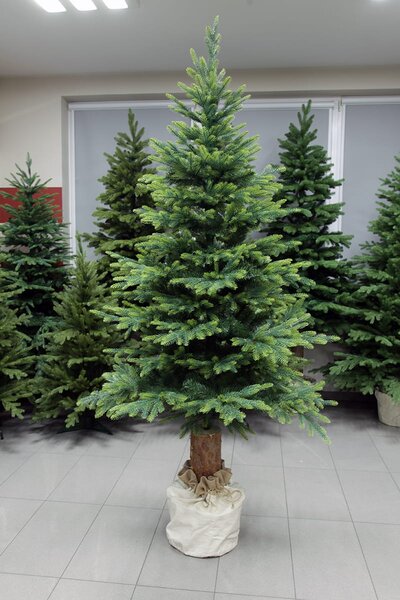 Smrk Bavorský na kmeni 3D-190cm