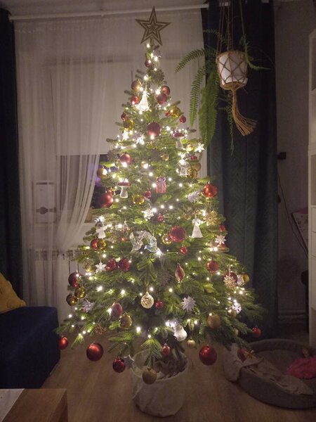 Smrk Prestige na kmeni 100% 3D- 210cm