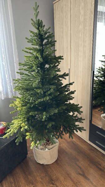 Smrk Prestige na kmeni 100% 3D- 185cm