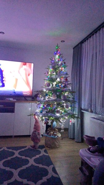 Smrk Bavorský na kmeni 3D-190cm