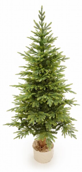 Smrk Bavorský na kmeni 3D-190cm