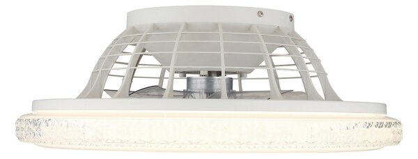 STROPNÍ VENTILÁTOR, 50/17,5 cm Globo - Online Only svítidla, Online Only