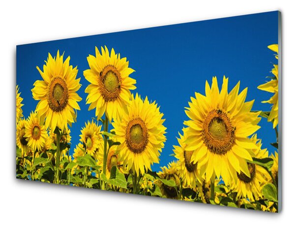 Obraz na skle Slunečníce Rostlina 120x60 cm