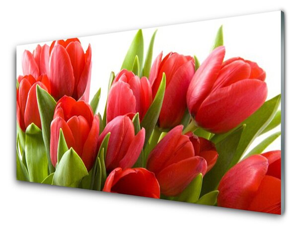 Kuchyňský skleněný panel Tulipány Květiny Rostlina 140x70 cm