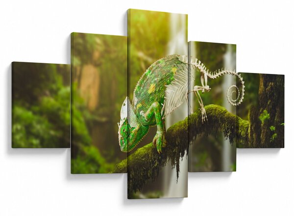 Obraz chameleona (125x70 cm)