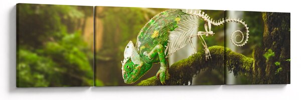 Obraz chameleona (170x50 cm)