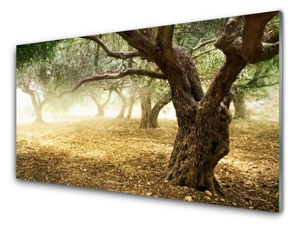 Kuchyňský skleněný panel Strom Tráva Příroda 140x70 cm
