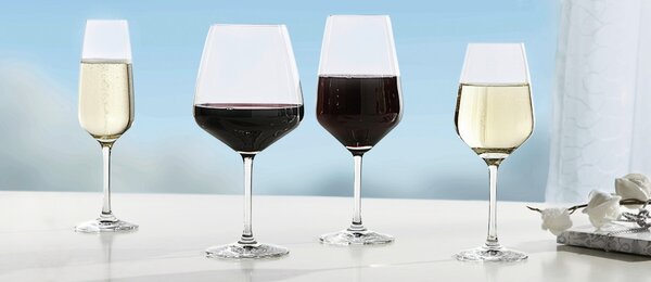 SKLENICE NA BÍLÉ VÍNO Schott Zwiesel - Sklenice na bílé víno