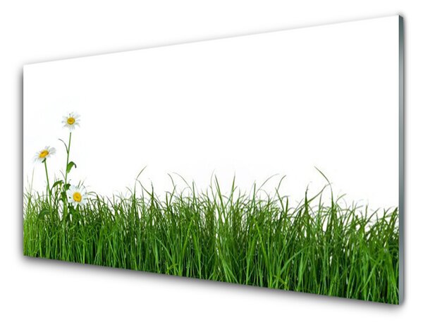 Obraz na skle Plevel Příroda Rostlina 100x50 cm