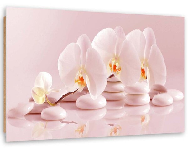 Obraz Zenové orchideje v pudrově růžové barvě Velikost: 120 x 80 cm, Provedení: Panelový obraz