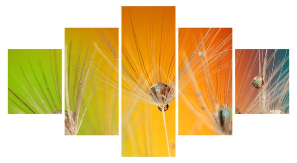 Obraz kapek na rostlině (125x70 cm)