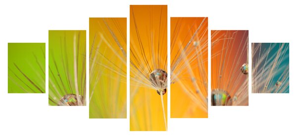 Obraz kapek na rostlině (210x100 cm)