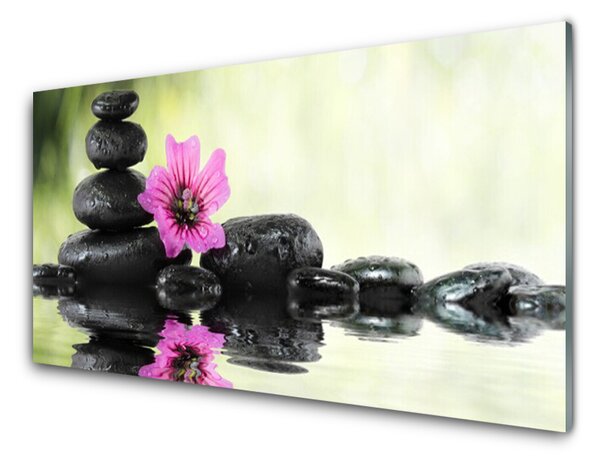 Akrylový obraz Květ Kameny Umění 120x60 cm