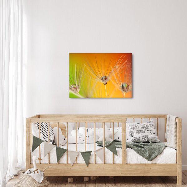 Obraz kapek na rostlině (70x50 cm)