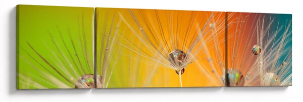 Obraz kapek na rostlině (170x50 cm)