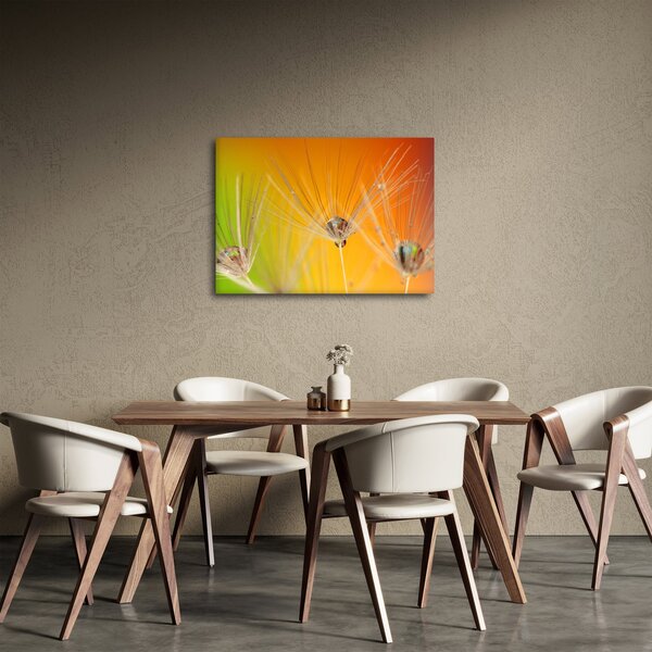 Obraz kapek na rostlině (70x50 cm)