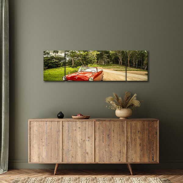 Obraz - auto veterán v přírodě (170x50 cm)