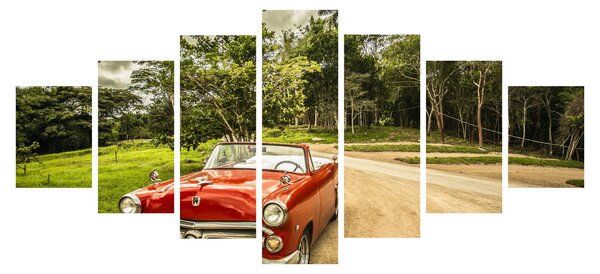 Obraz - auto veterán v přírodě (210x100 cm)