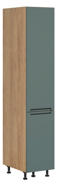 BRW Kuchyně Family Line Iris DC-40/207-CC, dub hikora/boho green matt