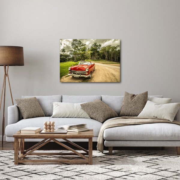 Obraz - auto veterán v přírodě (70x50 cm)