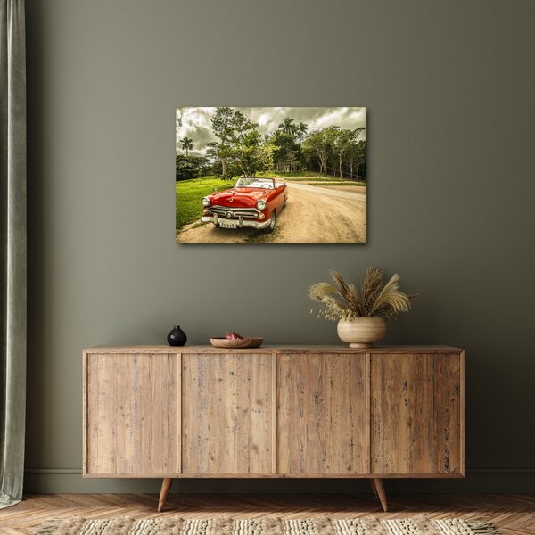 Obraz - auto veterán v přírodě (70x50 cm)