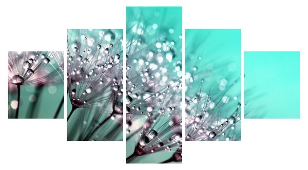 Obraz - orosená rostlina (125x70 cm)