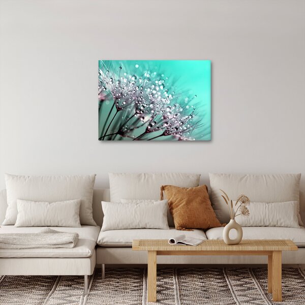 Obraz - orosená rostlina (70x50 cm)