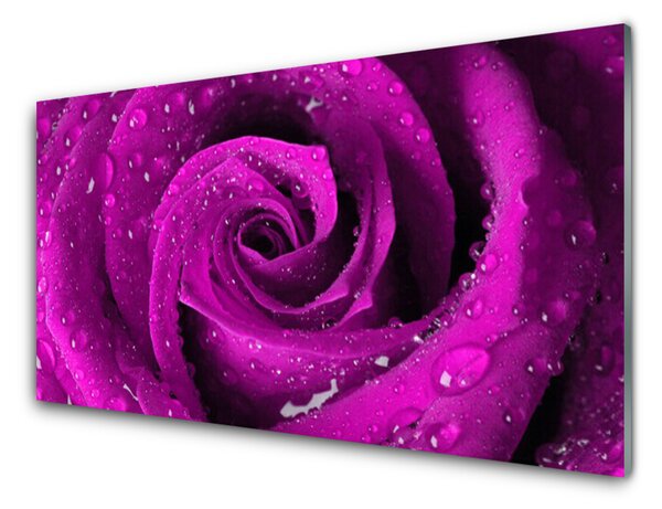 Kuchyňský skleněný panel Růže Květ Rostlina 100x50 cm