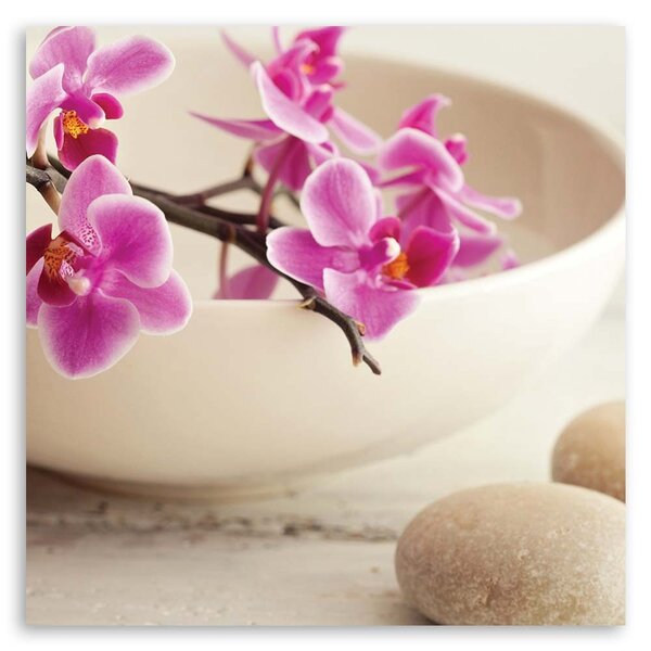 Obraz na plátně Růžové orchideje v misce Rozměry: 30 x 30 cm