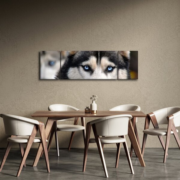 Obraz psa husky (170x50 cm)