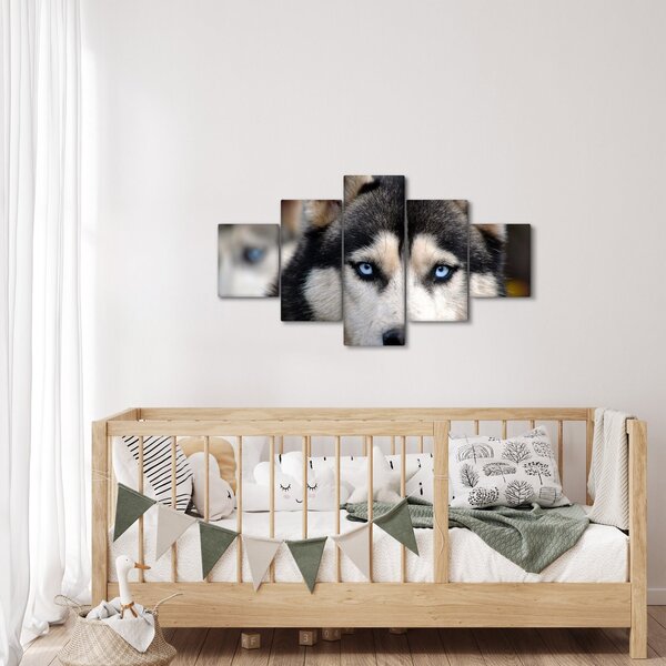Obraz psa husky (125x70 cm)