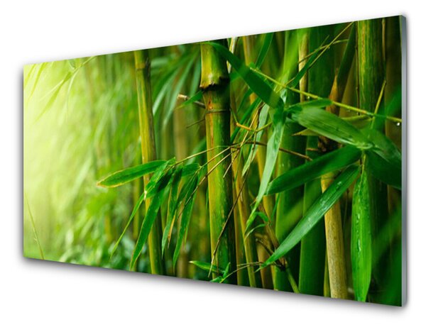 Kuchyňský skleněný panel Bambus Stonky Rostlina 100x50 cm