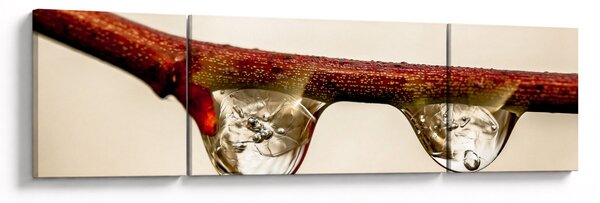 Obraz kapek na větvi (170x50 cm)